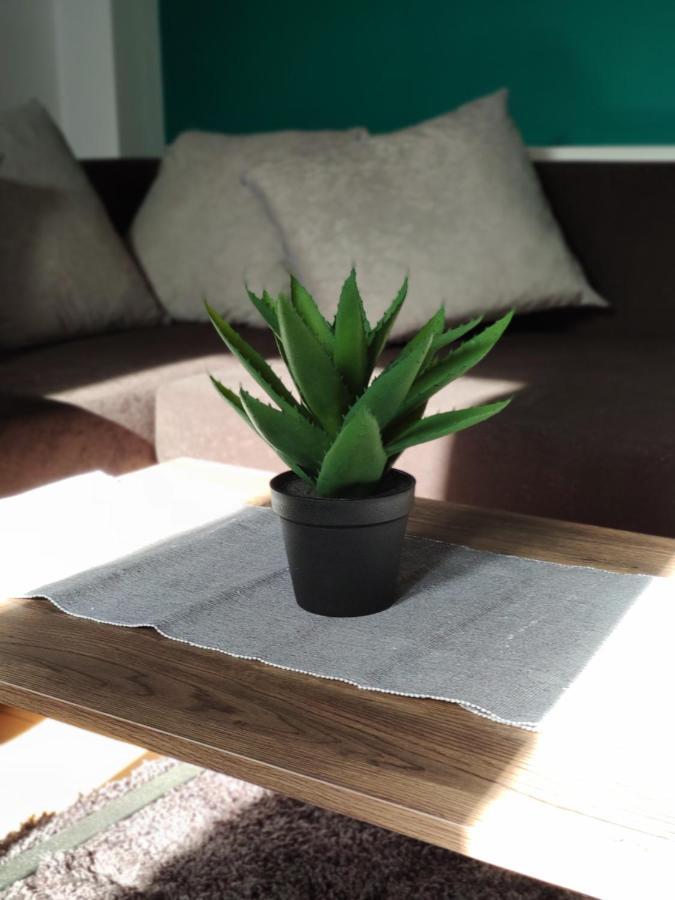 City-Center Apartment Przemyśl 外观 照片